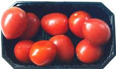 Tomaten-Schale.jpg